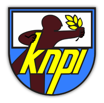 Mitra KNPI